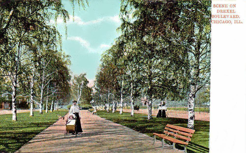 POSTCARD - CHICAGO - DREXEL BLVD SCENE - WOMAN WITH BABY IN CARRIAGE - SUN-DAPPLED WALKWAY - TINTED - 1911