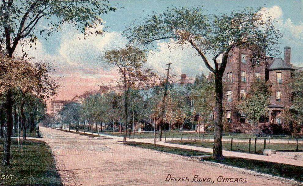 POSTCARD - CHICAGO - DREXEL BLVD - GROUND LEVEL VIEW DOWN STREET - BUILDINGS BEHIND TREES - TINTED - 1910s