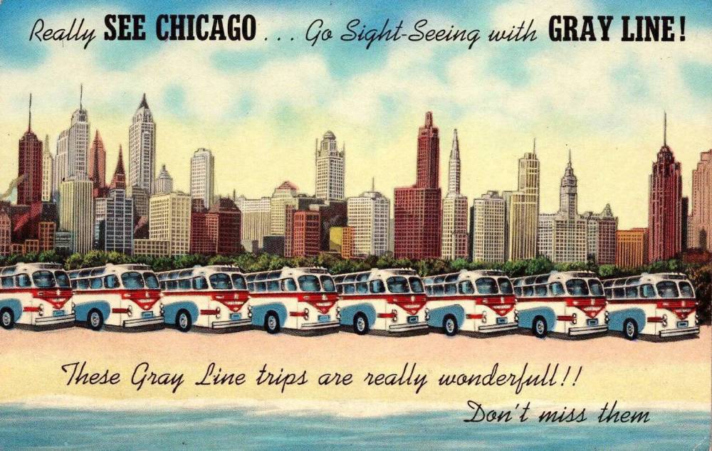 POSTCARD - CHICAGO - GRAY LINE BUS TOURS - BUSES LINED UP WITH SKYLINE BACKGROUND AND EDGE OF LAKE - REALLY SEE CHICAGO - TINTED - c1950