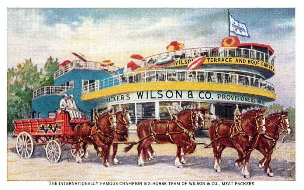 POSTCARD - CHICAGO - WILSON AND COMPANY PACKERS - CHAMPION SIX-HORSE TEAM - TERRACE AND ROOF GARDEN RESTAURANT IN BACKGROUND FOR CENTURY OF PROGRESS WORLD'S FAIR - OVERLOOKED MIDWAY AND LAKE - 1933-4