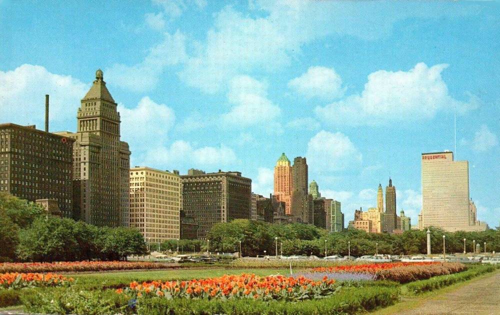 POSTCARD - CHICAGO - GRANT PARK - FLOWER BEDS GROUND LEVEL LOOKING NW - PART OF CITY BEAUTIFUL SERIES - c1964